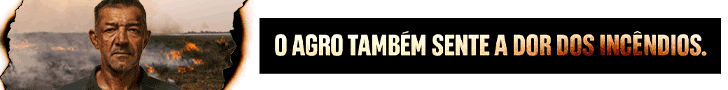 Publicidade