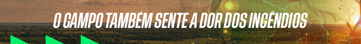 Publicidade