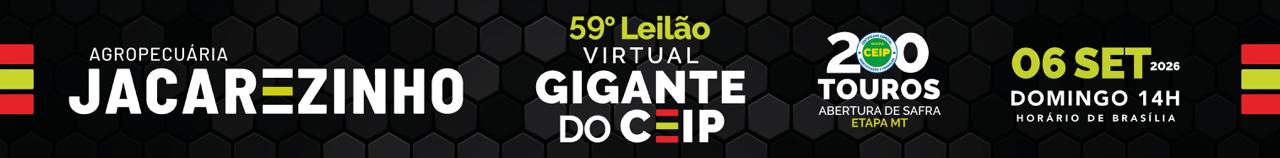 Publicidade
