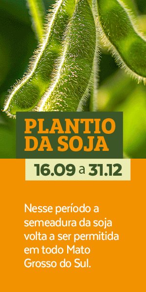 Publicidade