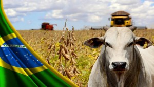 Ipea revisa projeção de PIB agropecuário em 2021 para queda de 1,2%