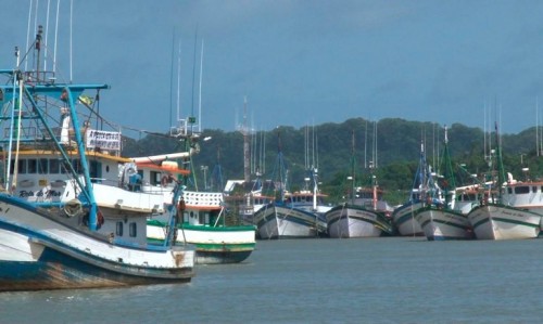 Embarcações pesqueiras têm até dezembro de 2023 para cumprir requisitos higiênico-sanitários