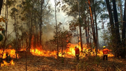 Calor aumenta ocorrências de incêndios