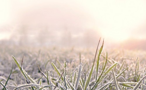 La Niña pode favorecer a ocorrência de geadas em MS