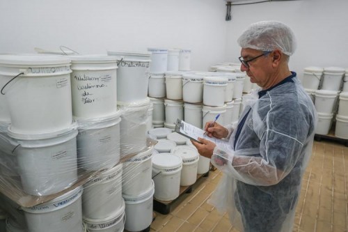 Agroindústria: como o produtor rural pode buscar alternativas para a comercialização