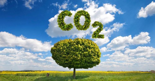 Tecnologias agro evitam emissão de 500 mil toneladas de CO2