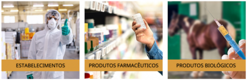 Mapa lança painéis sobre estabelecimentos e produtos de uso veterinário