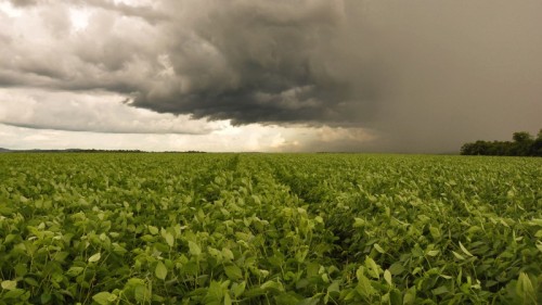 La Niña pode ficar mais fraco