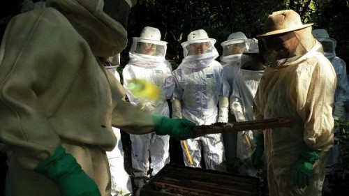 Senar/MS seleciona instrutores para cursos de Formação Profissional Rural e Promoção Social