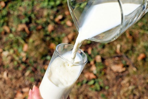 Mitos do Leite A2: produto não é para intolerantes à lactose e alérgicos à proteína do leite