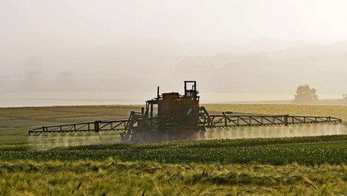 Petições online contra PL dos Agrotóxicos reúnem meio milhão de assinaturas