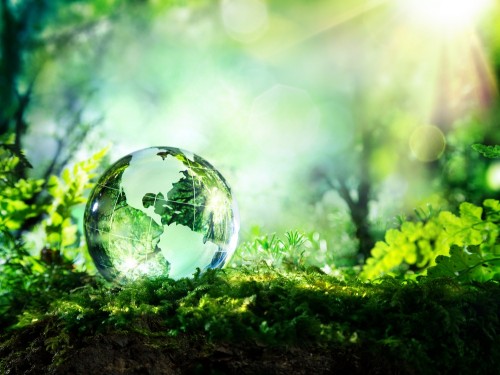 Agro triplica operações sustentáveis: Vale ser ESG?