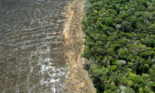 Força-Tarefa em Defesa da Amazônia permanecerá mais um ano na região