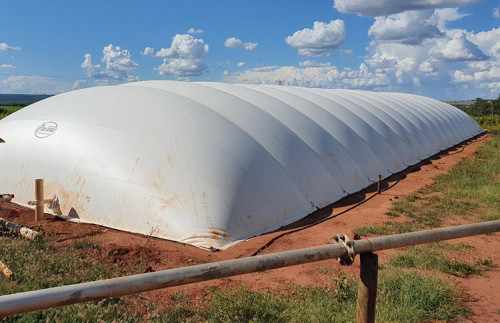 Carbono Neutro: suinocultura e setor sucroenergético credenciam MS como protagonista em biometano no país