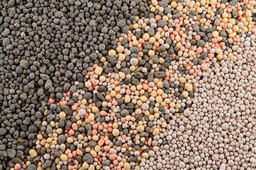 Bioinsumos e fertilizantes foram debatidos na Academia Brasileira de Ciências