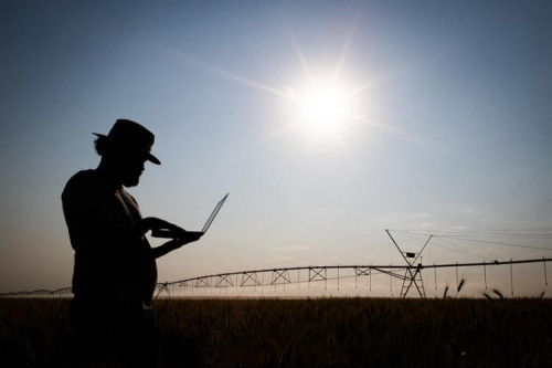 Investimento em tecnologia é principal responsável pelo desenvolvimento na produção de alimentos em Mato Grosso do Sul
