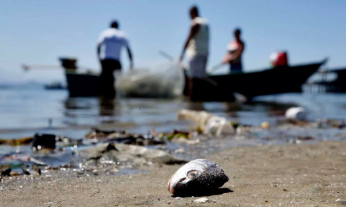 SP: projeto prevê pagamento por coleta de lixo no mar