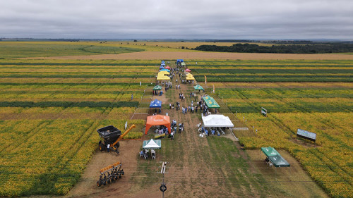 Insumos como sementes são destaque na AgroBrasília 2022