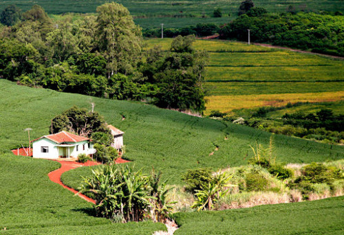 Campanha Abril Verde e Amarelo terá força-tarefa para entrega de títulos de propriedade rural no país