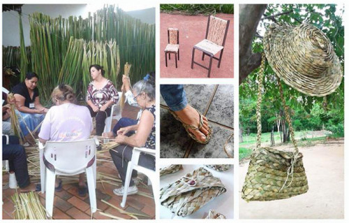 Curso do Senar/MS ensina como transformar folhas de Taboa em peças artesanais