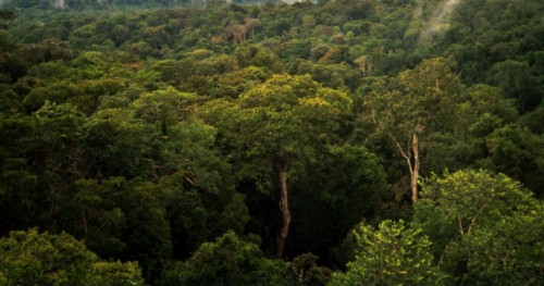 USDA investe no combate de mudanças climáticas