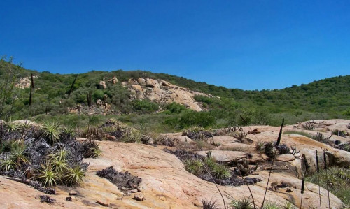 Brasil tem duas áreas incluídas na lista de geoparques mundiais da Unesco