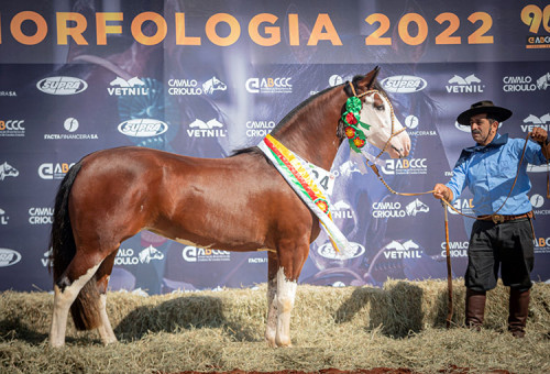 Passaporte em Campo Grande garante a vaga de oito animais à Morfologia Expointer 2022