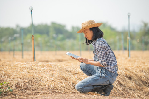FAAP está com matrículas abertas para Pós-Graduação On-Line em Agronegócios
