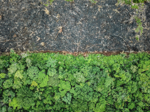 CPR Verde torna-se ferramenta de união entre o agronegócio e a conservação do meio ambiente