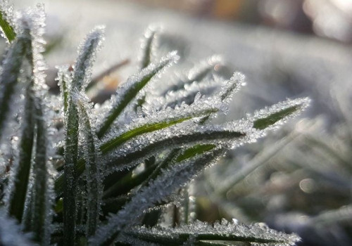 Neve, geada e avanço do frio estão previstos para os próximos dias