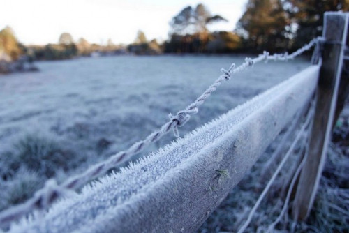 Frio e geadas históricas no cerrado