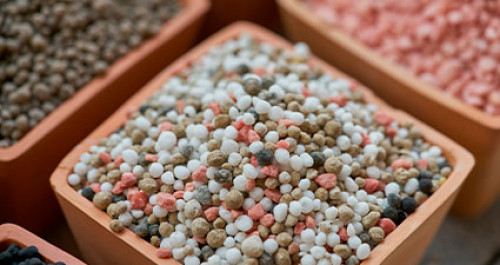Mapa vai a Jordânia, Egito e Marrocos para ampliar negociações de fertilizantes