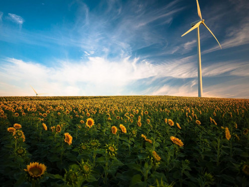 Logtech lança produto de crédito de carbono para mercado de logística