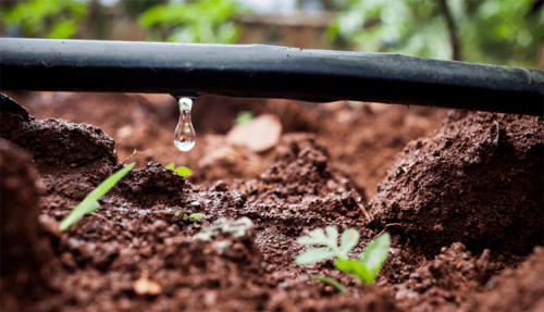 Irrigação sustentável pode combater mudanças climáticas