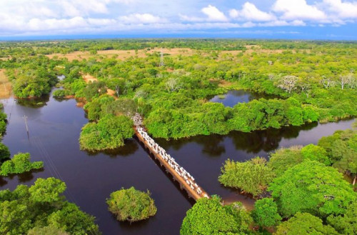 Exemplo em sustentabilidade e descarbonização na produção, MS sedia Agenda Verde do Agro