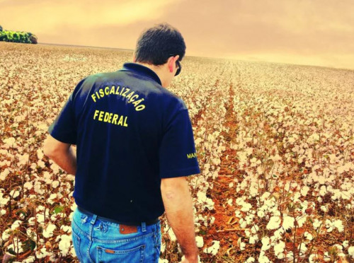 Auditores agro anunciam greve contra PL 1.293 e por reestruturação