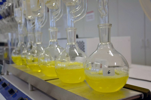 Governo doa azeite de oliva fraudado para produção de biodiesel