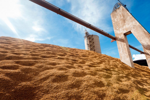 Coprocessamento é solução para o agronegócio destinar resíduos de forma ambientalmente correta