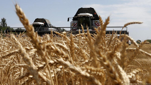 PT diz que foi erro incluir "regulação da agroindústria" em plano