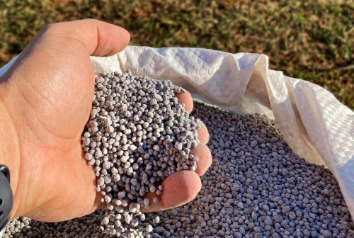 Restringir fertilizante reduz oferta de alimentos, diz ministro