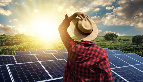 Entenda como a energia solar é o futuro do agronegócio