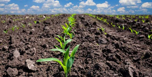 La Niña fica até 2023, mas de forma mais moderada