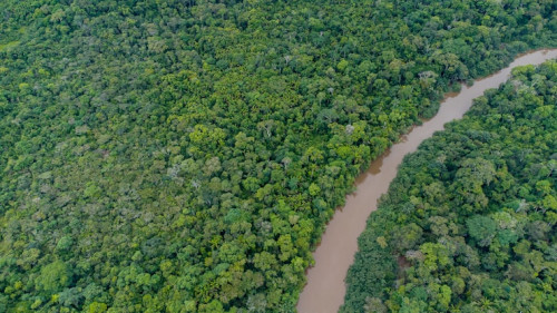 Suporte da Aviagen América Latina ao "Fundo JBS pela Amazônia" promove o crescimento sustentável do bioma