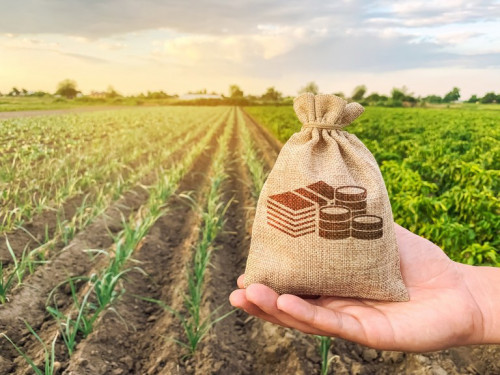 Cresce a procura por profissionais de ESG no agronegócio