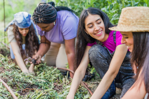 Empreendedorismo e cooperativismo da juventude rural brasileira serão destaques no YAMI 2022