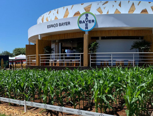 Bayer deve contestar na Justiça decisão sobre material de segurança da Monsanto