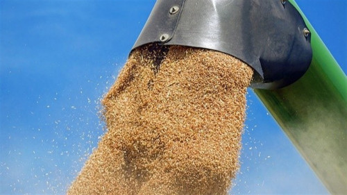 Mercado de trigo no Sul do Brasil enfrenta baixa liquidez