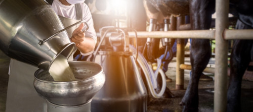 Brasil atinge recorde em importações de produtos lácteos em 2024
