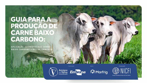 Práticas para reduzir emissões de carbono podem aumentar a competitividade da pecuária nacional