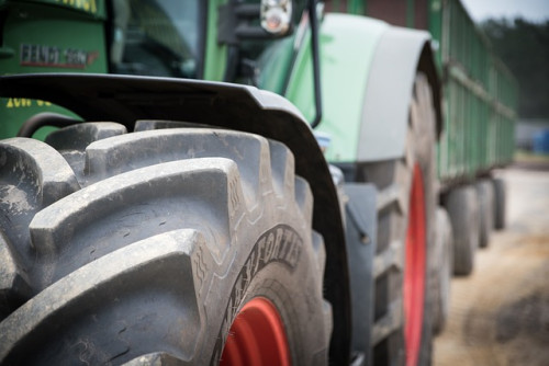 Paraná impulsiona renda e inclusão social de 10 mil agricultores familiares